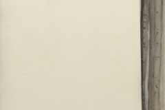 0003