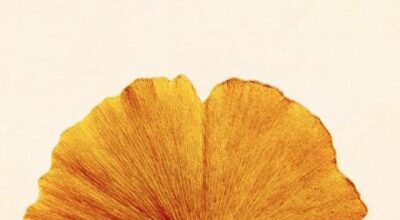 Recensione: Ci basterà mangiare il vento di Gianluca Gotto